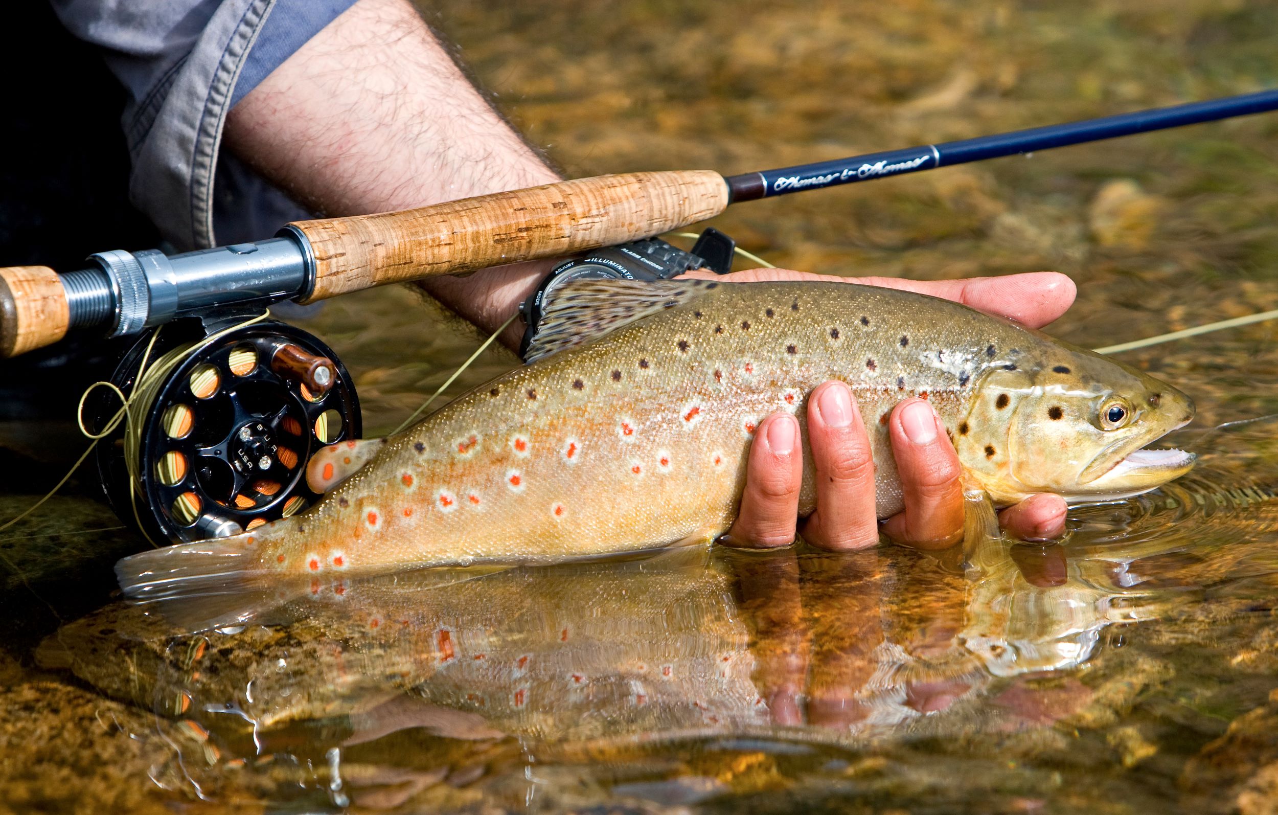 A man holding a recently caught trout.