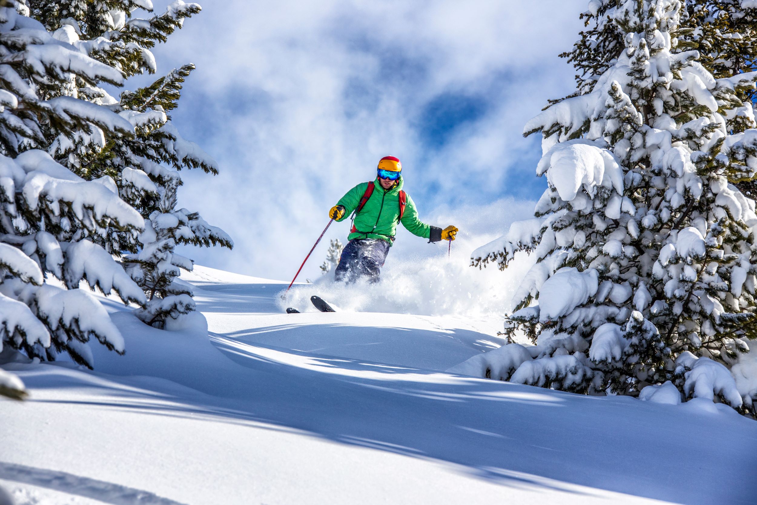 A man skiing between trees.