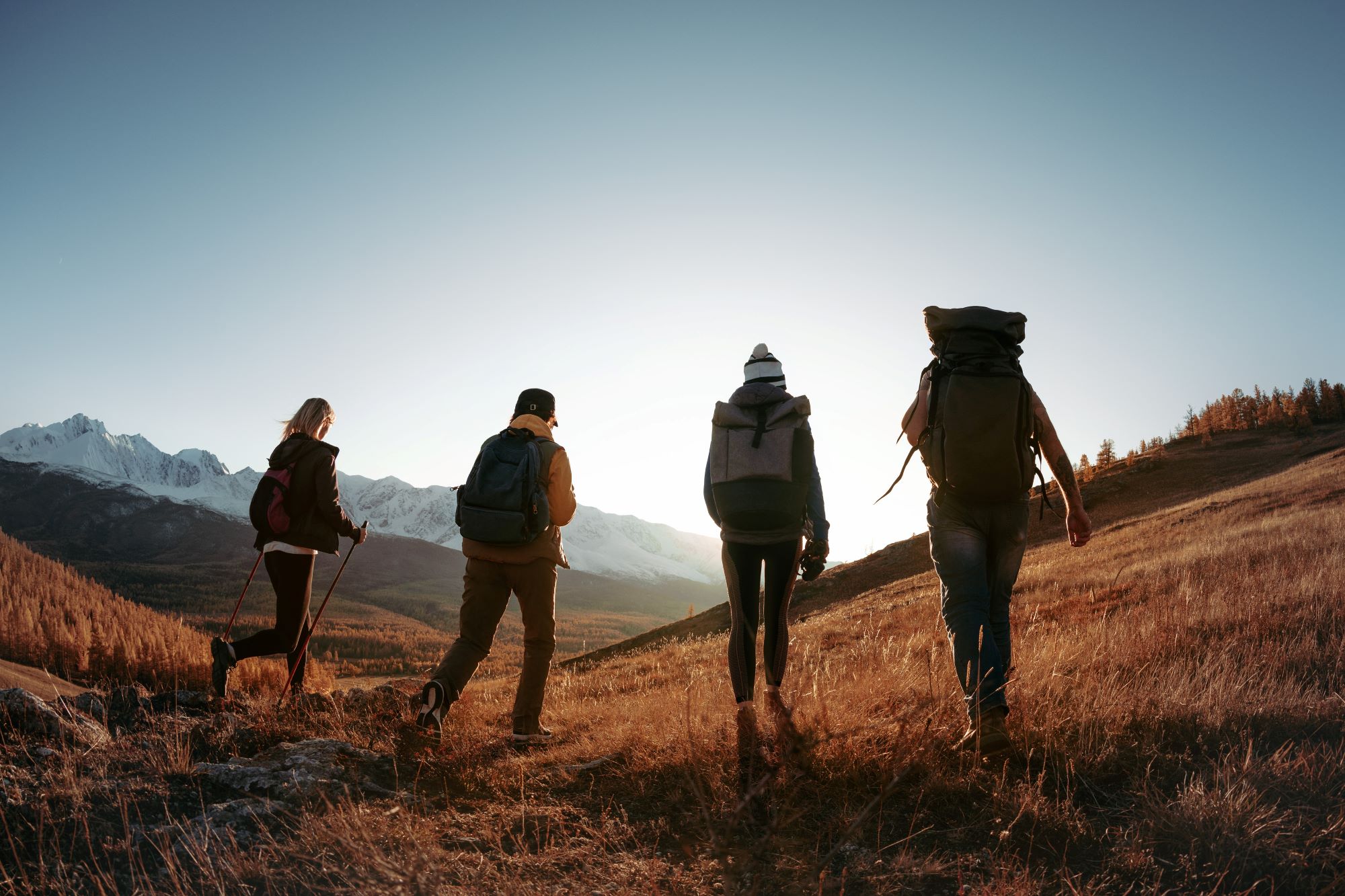 A group of hikers.