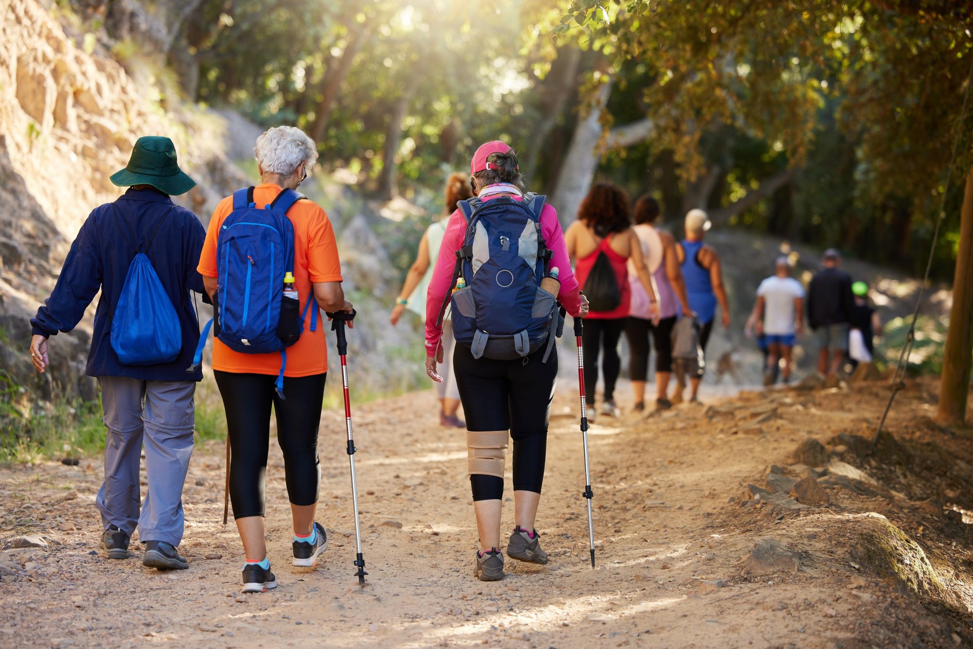 A group of hikers.