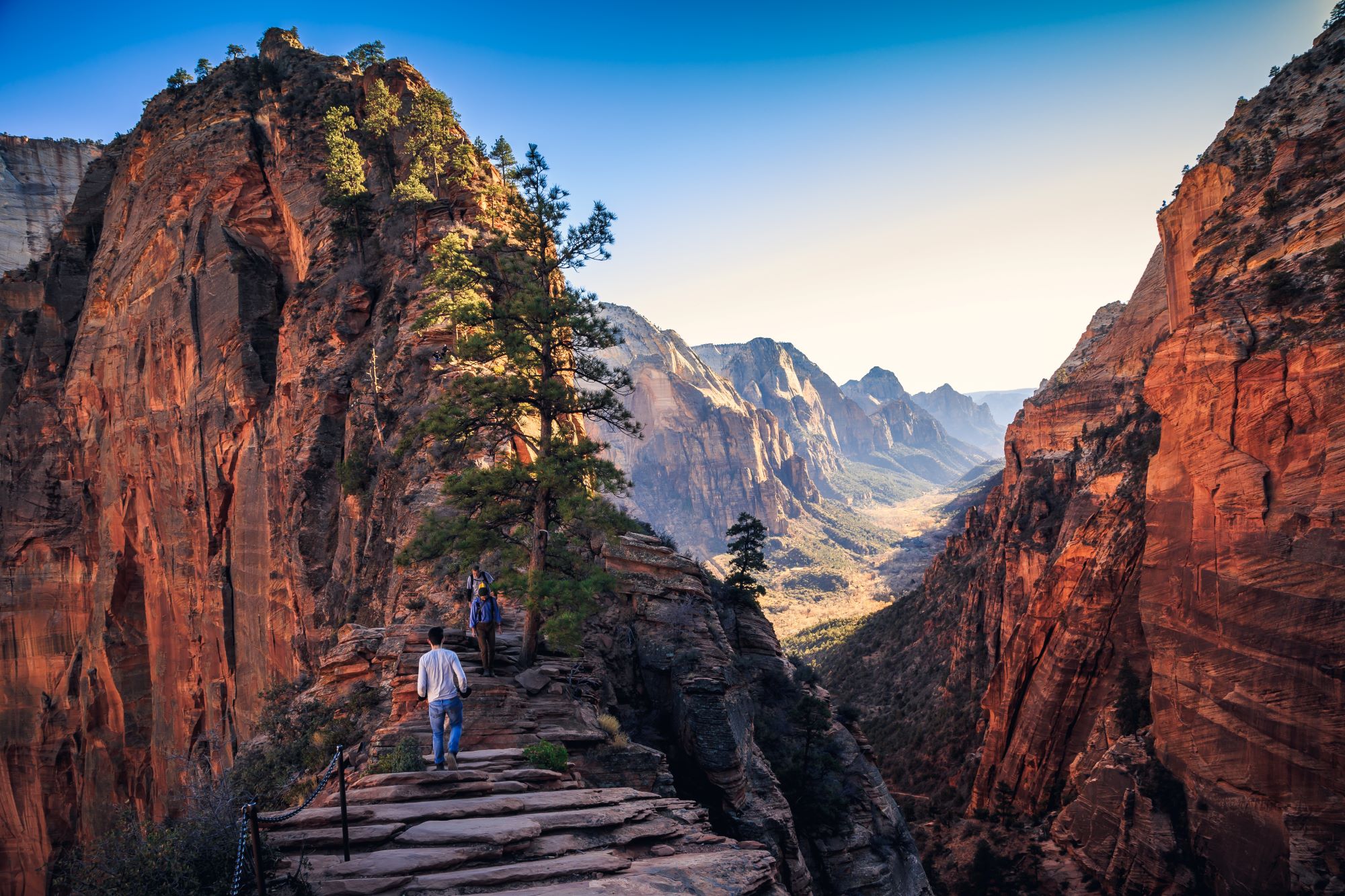 Hikers on the trail to Angel's Landing.