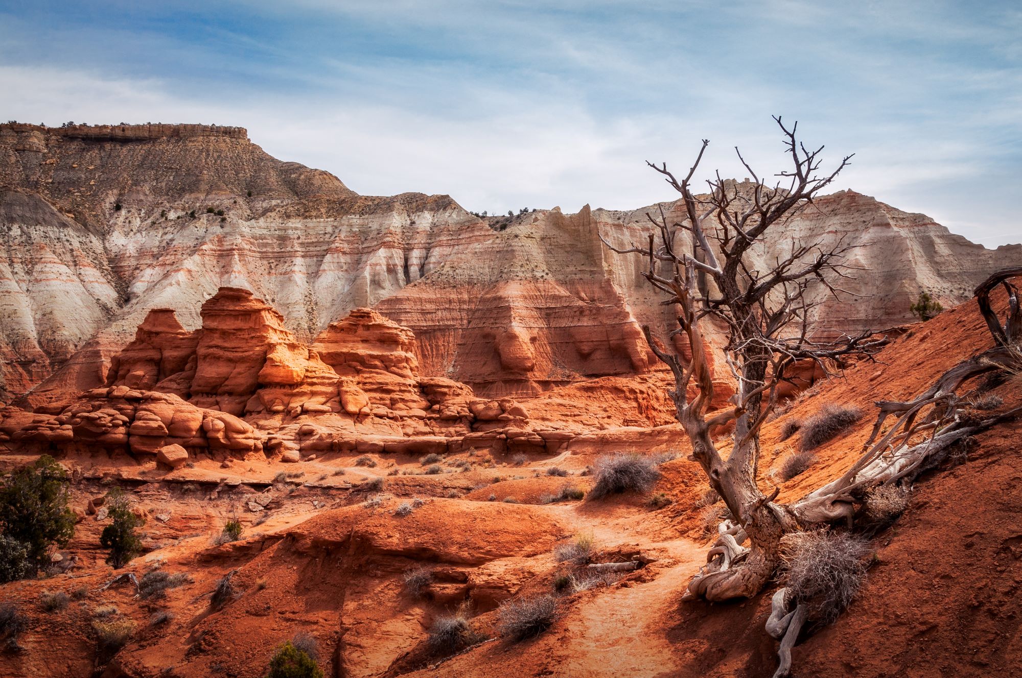 A picturesque Trail through Kodachrome Basin State Park.